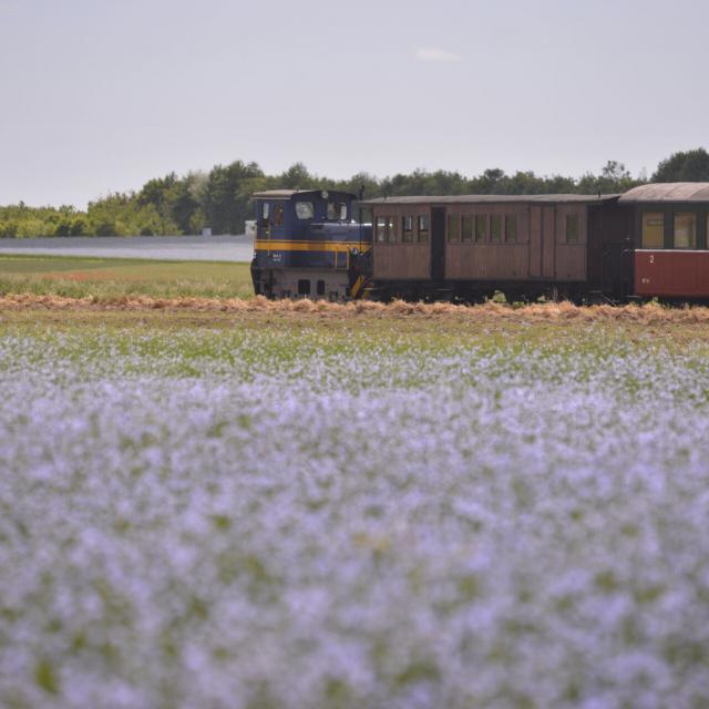 Le Crotoy_Saint-Valéry-sur-Somme_Traversée de la baie de Somme en petit train à vapeur © CRTC Haut-de-France - Nicolas Bryant