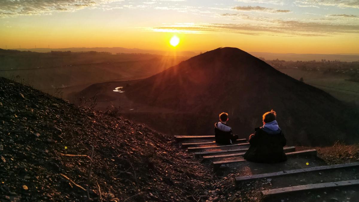 Pierre Delroisse Guide nature sur terril Site officiel Hautsde