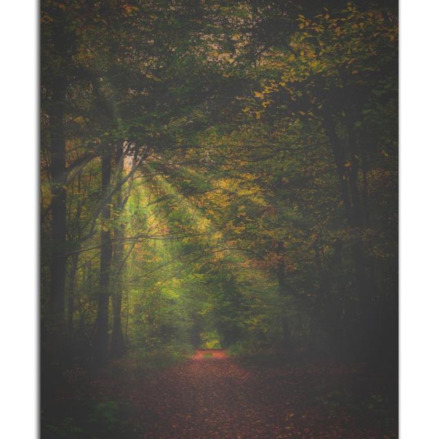 Instagram #esprithautsdefrance