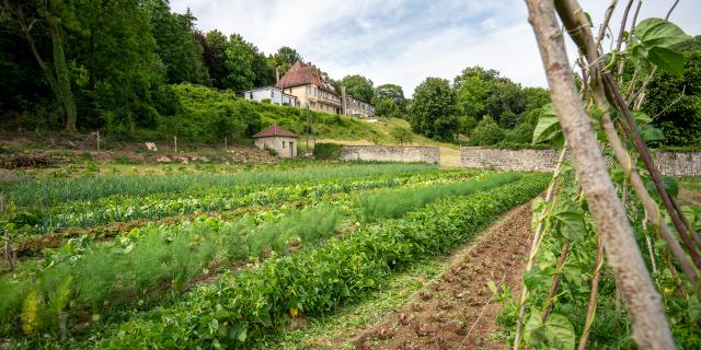 Autrêches _ l'Hermitage _ Les Jardins Ouvriers © Cqc Laëtitia Baudu