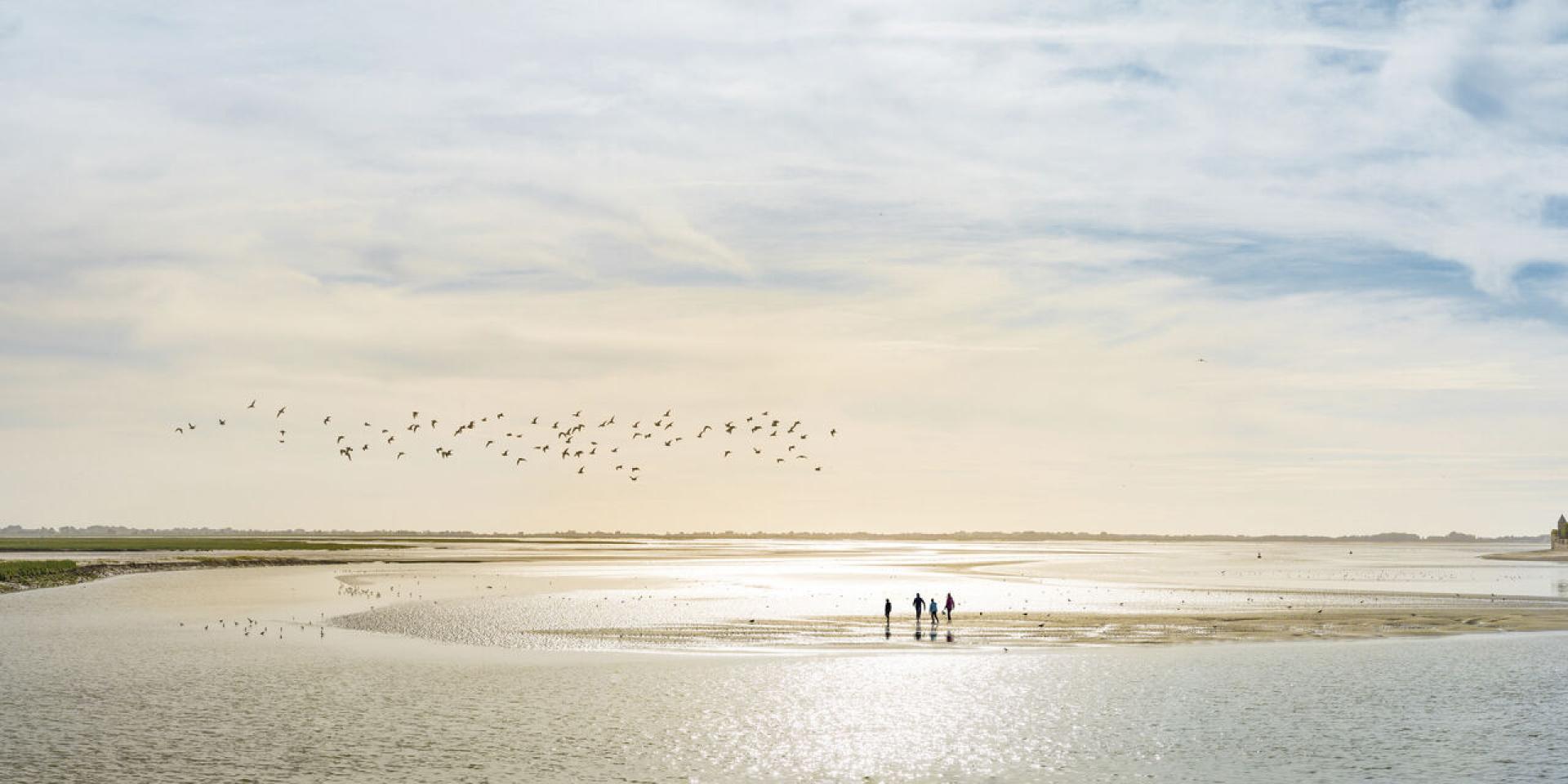 Wattwandern mit der Familie in der Bucht der Somme, Copyright: Benoit Bremer