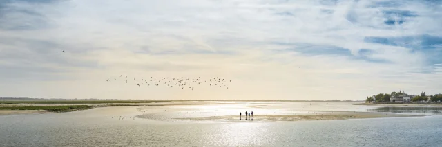 Noord-Frankrijk, Baie de Somme