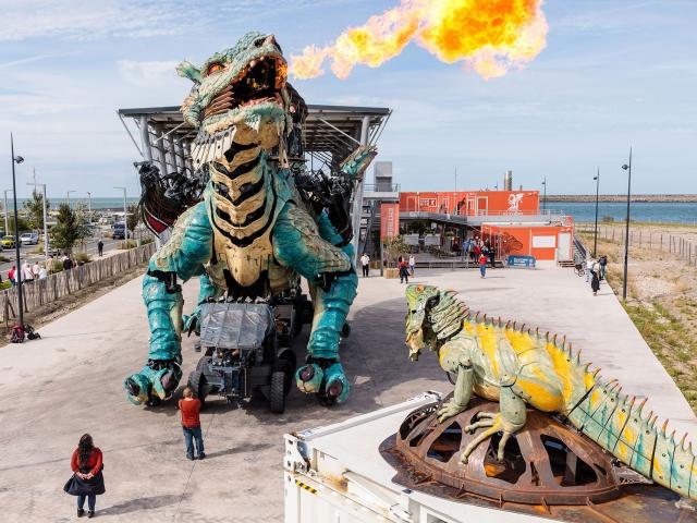 Calais_Dragon et Iguane © Fred Collier - Ville de Calais