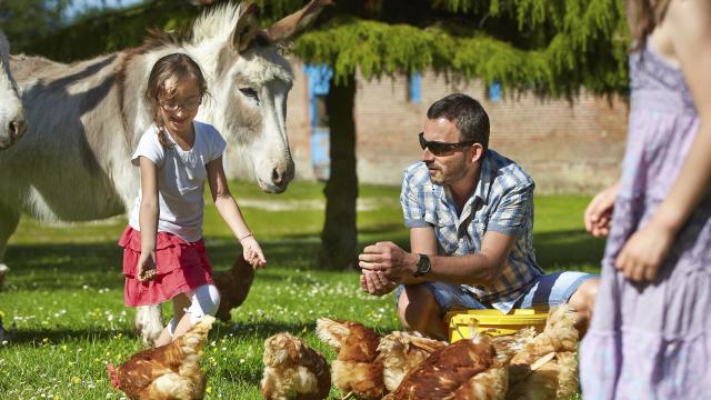 Mareuil-Caubert_Ferme de Caubert © CRTC Hauts de France - Guillaume Crochez