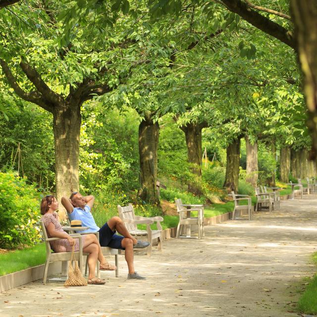 Argoules_Jardins Abbaye de Valloires©CRTC Hauts-de-France – Anne - Sophie Flament