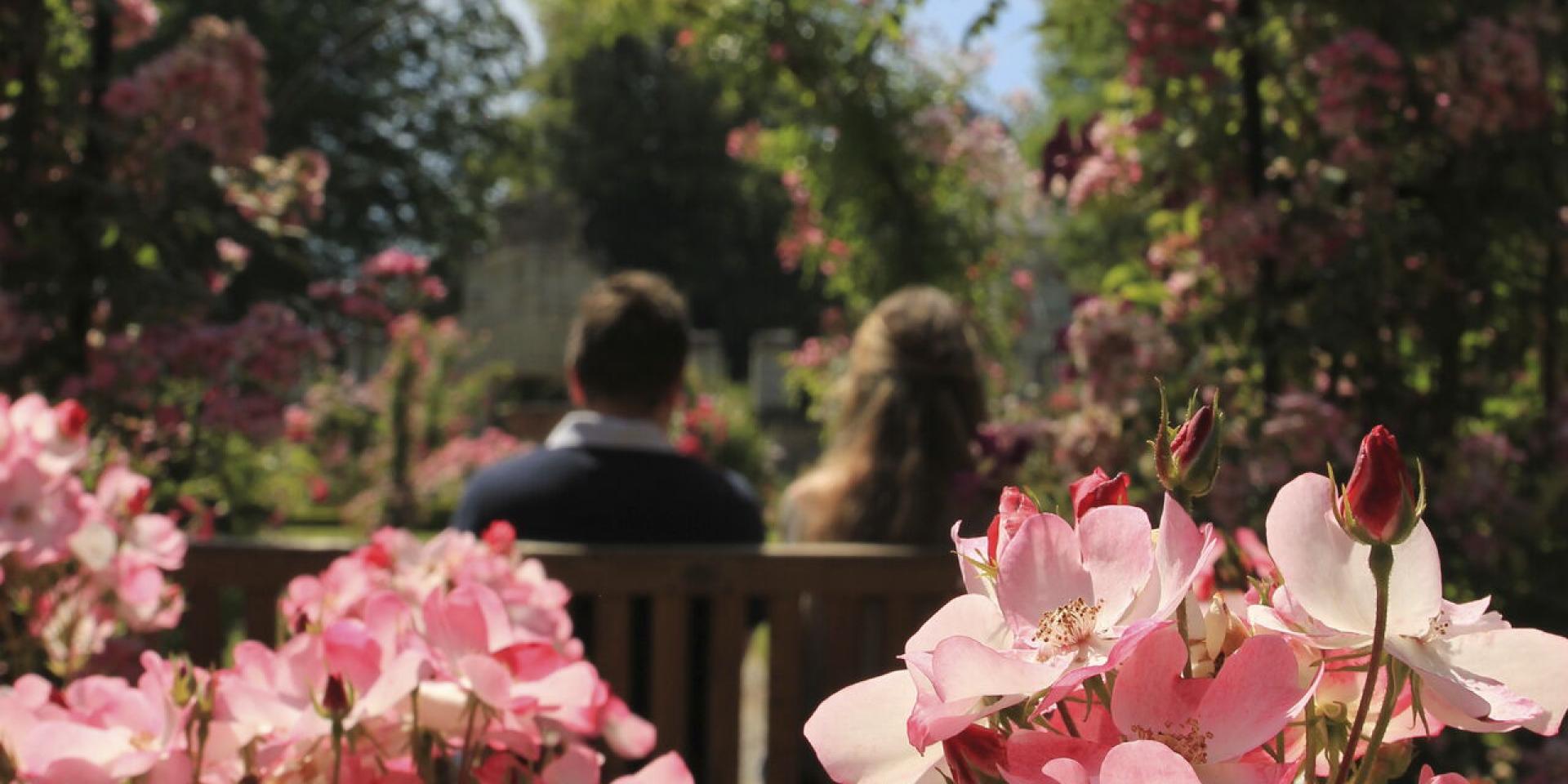 Northern France _ Fontaine Chaalis - Rose garden © CRTC Hauts-de-France - Jean Luc Verbrugghe