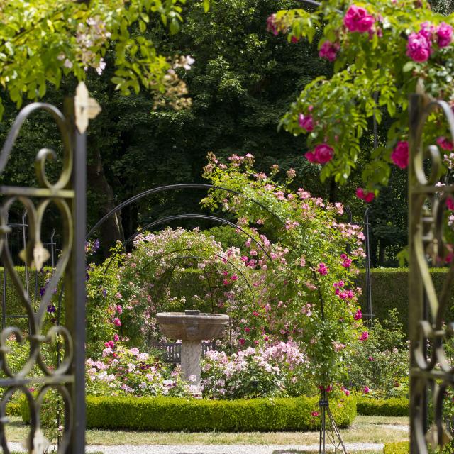 Fontaine-Chaalis_Abbaye royale de Chaalis©CRTC Hauts-de-France – Anne-Sophie Flament