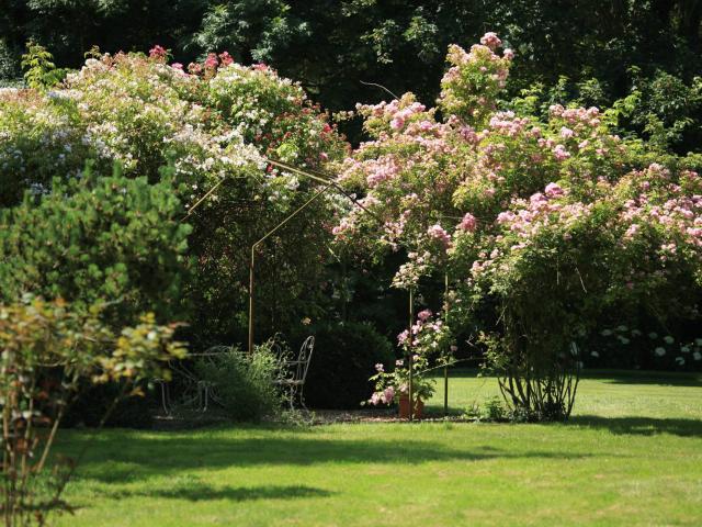 Bertaucourt-les-Thennes_ Jardin de la Lucine © Jacques Taquet