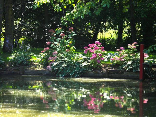 Bertaucourt-les-Thennes_ Jardin de la Lucine © Jacques Taquet