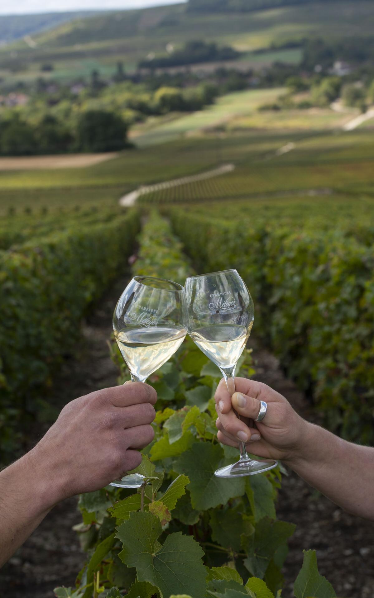 Bubbling with Joy: the Champagne of the Aisne | Hauts-de-France Tourism ...