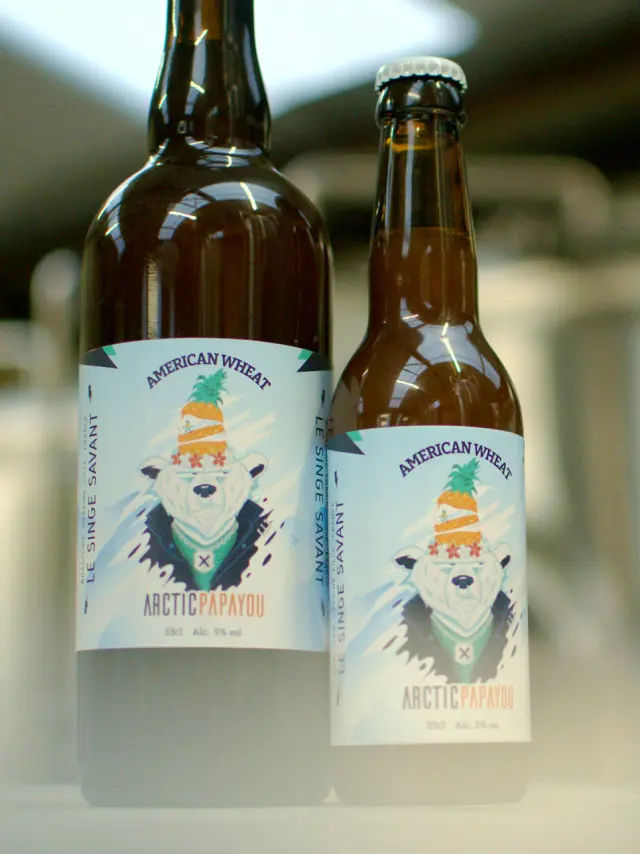 Lille _Le Singe Savant ©le Singe Savant Lille(4)