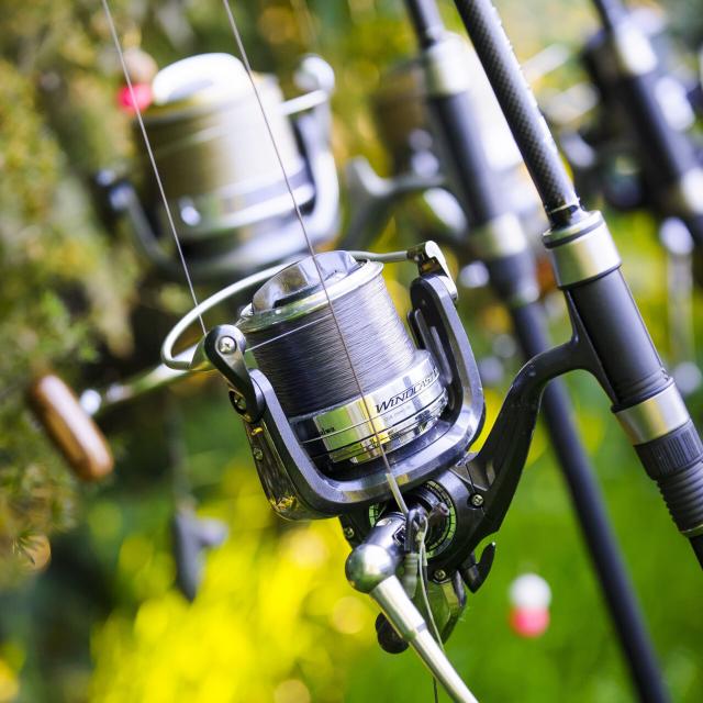 Noord-Frankrijk_Domaine de Coelacanthe©CRT Hauts de France - Vincent Colin
