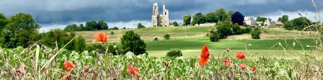 Mont Saint Eloi Et Coquelicots @claire Decraene Arras Pays D'artois Tourisme