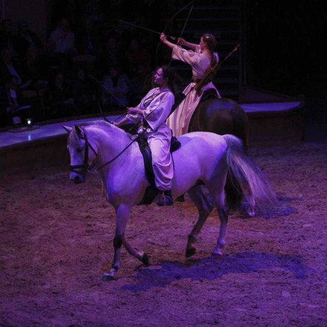 Chantilly - Spectacle Equestre de Noel ©CRTC Hauts-de-France - Jean Luc Verbrugghe