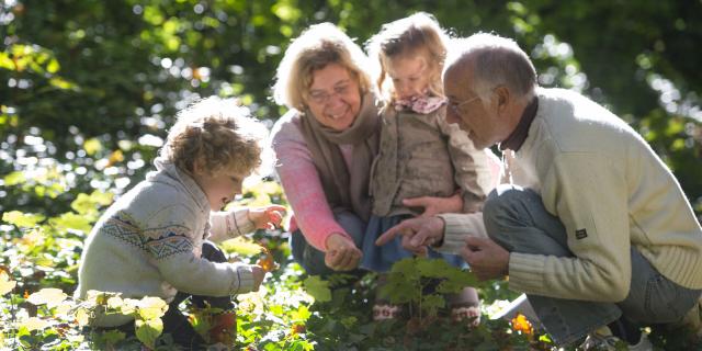 Sortie en foret a la recherche de champignons Petits Enfants et Grands Parents © Crt Hauts de France - Benjamin Teissedre