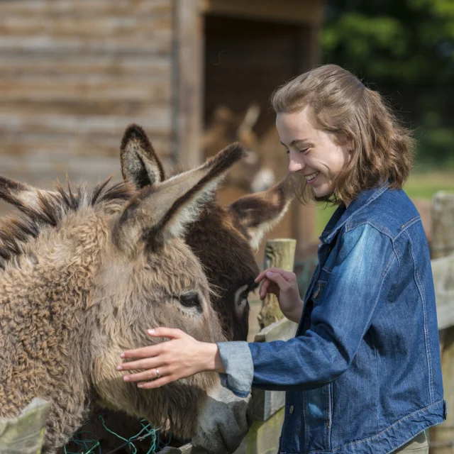 Asinerie du Marquenterre - Quend-Plage - credit CRT HDF Stephane Bouilland