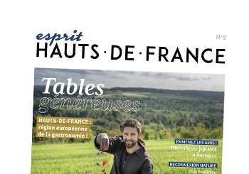 Couverture Esprit 5 Hdf