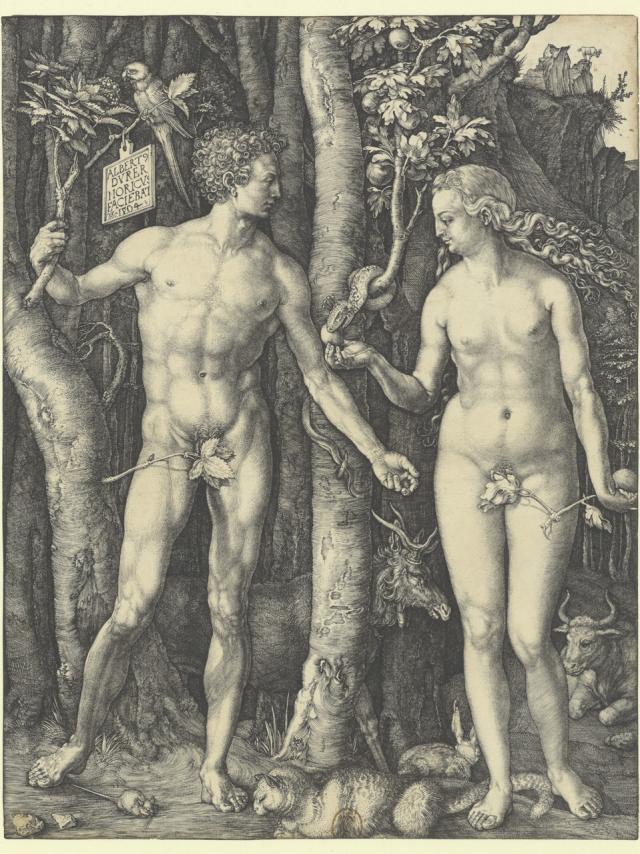 Albrecht Dürer, Adam et Ève (dit aussi La Chute de l’homme ), 1504 Gravure sur cuivre au burin, Paris Bibliothèque nationale de France Réserve ©BNF