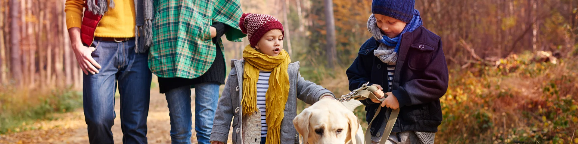 Famille En Foret En Automne Credit Gpointstudio Freepik