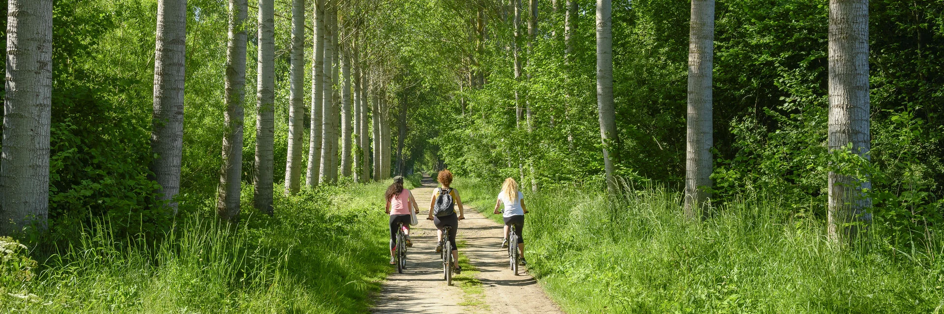 Vélo en forêt