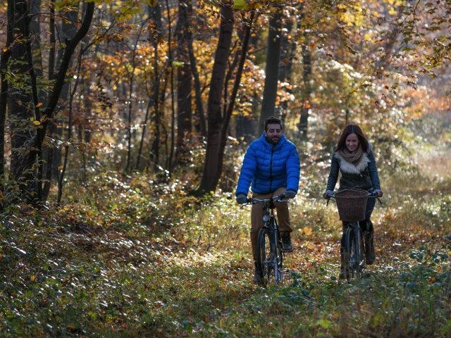 Foret De Compiegne En Automne Couple De Cyclistes 5