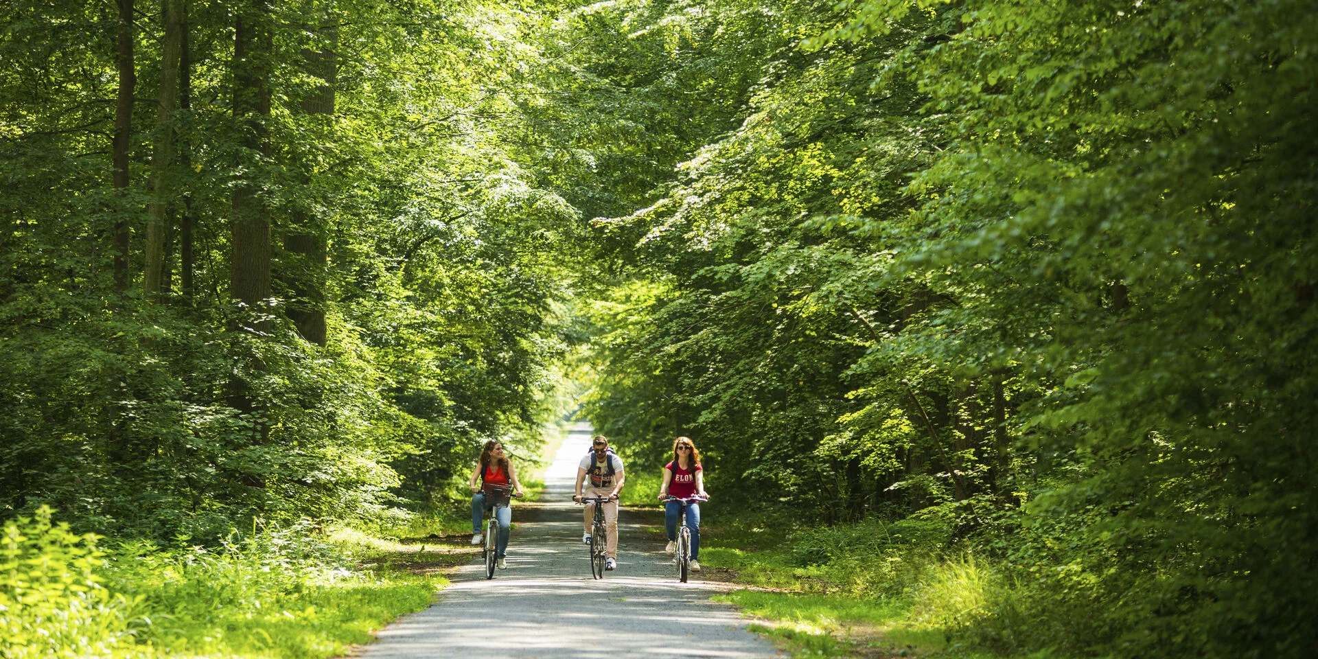 Foret de Hez Froidmont - Teddy Henin