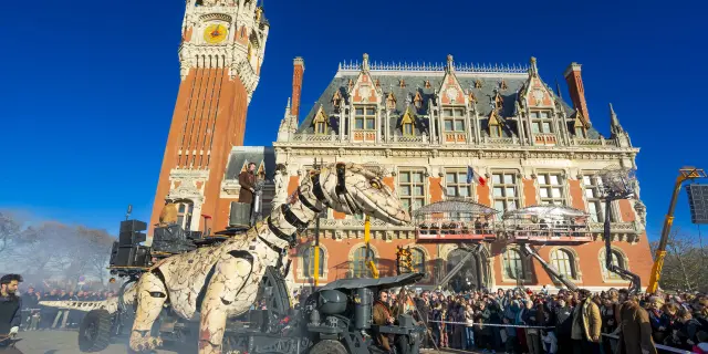 odyssee du varan de voyage, calais