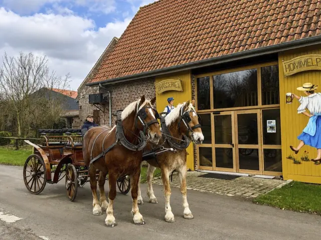 Bailleul Brasserie Ferme Beck 01ferme Beck