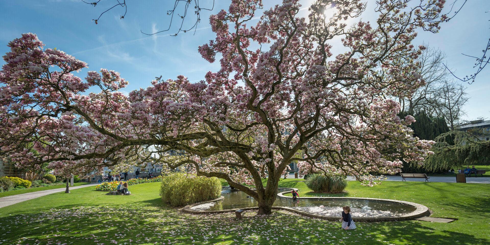 Abbeville, Jardin de l'Hôtel d'Emonville