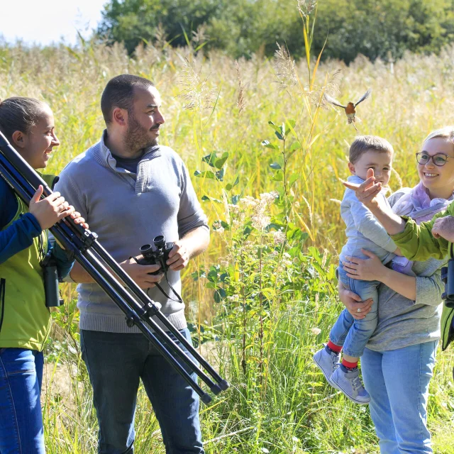 parc ornithologique du marquenterre, saint quentin en tourmont, baie de somme