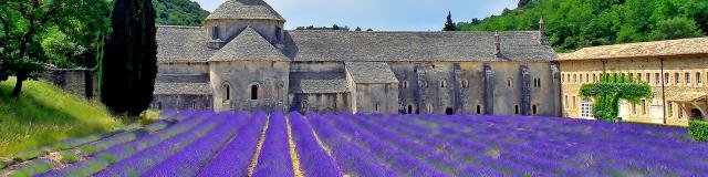 abbayedesenanque-luberon-provence-amouton.jpg