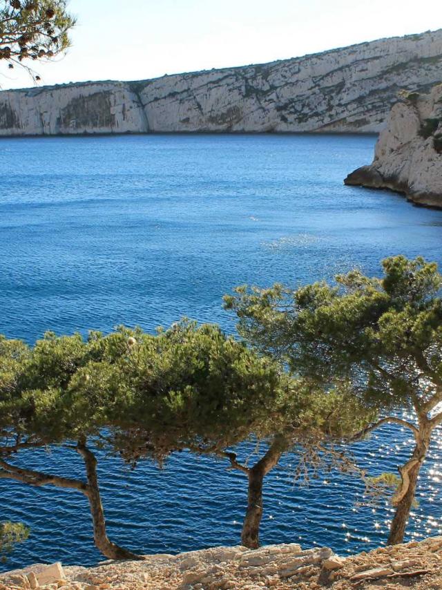 calanques-luminy-paca-cchillio-8.jpg