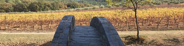 Chateau La Coste Provence Cchillio