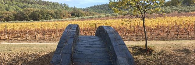 Chateau La Coste Provence Cchillio