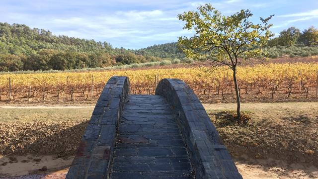 Chateau La Coste Provence Cchillio