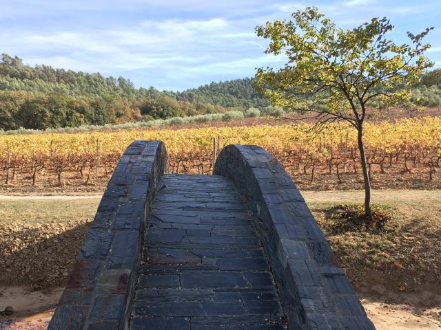Chateau La Coste Provence Cchillio