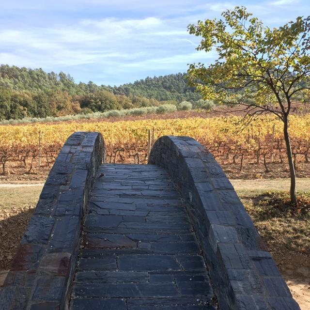 Chateau La Coste Provence Cchillio