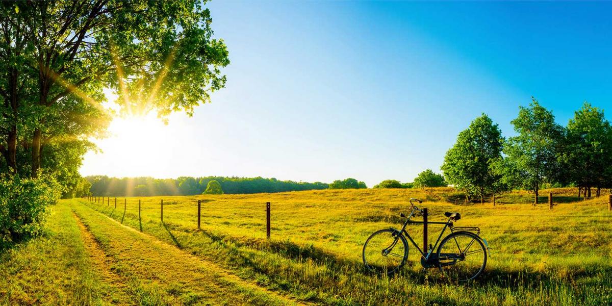 ProvenceAlpesCôte d’Azur Weather When to Visit?