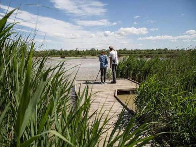 ecotourisme-maraisvigueirat-camargue-paca-tseray-1-1.jpg