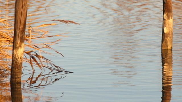 etang-camargue-provence-v-evrard.jpg