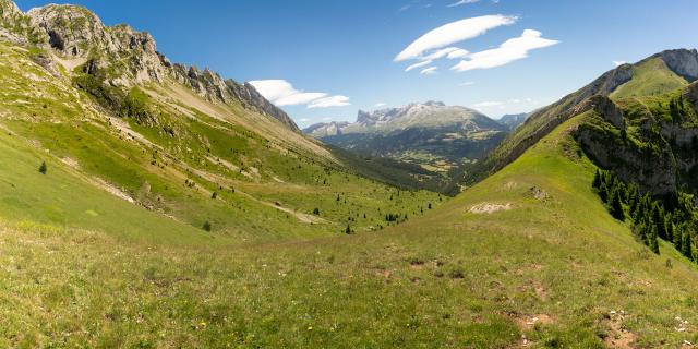 faraut-bure-depuis-vallon-de-laup-cot-devoluy-juillet2019-web-resize.jpg