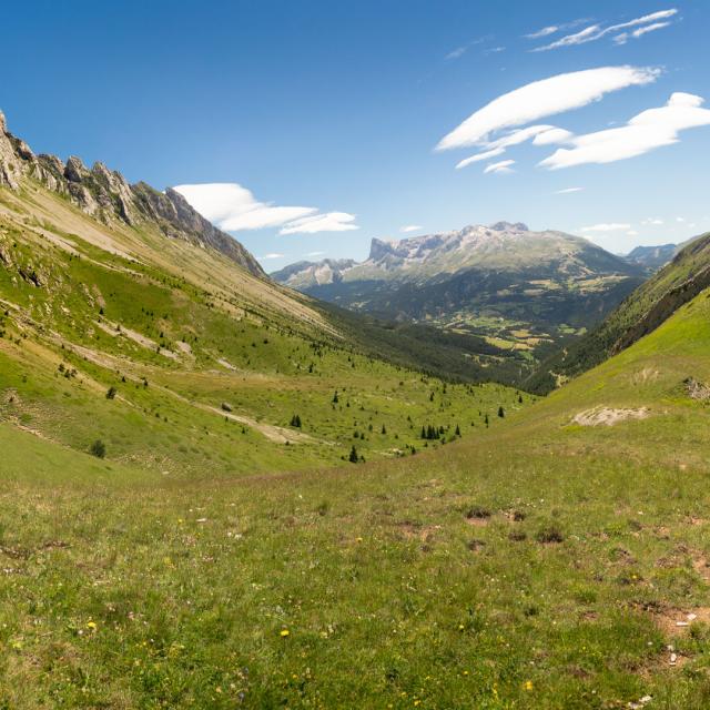 faraut-bure-depuis-vallon-de-laup-cot-devoluy-juillet2019-web-resize.jpg