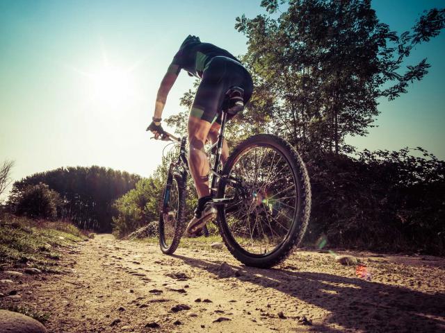 Fotolia 91707537 Vtt 1