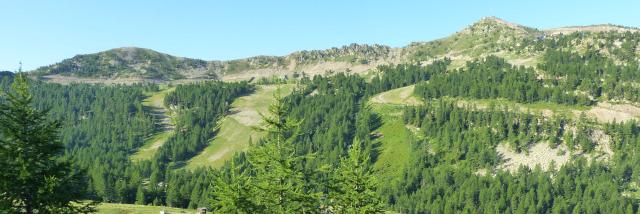 isola2000-di-ducam-1.jpg