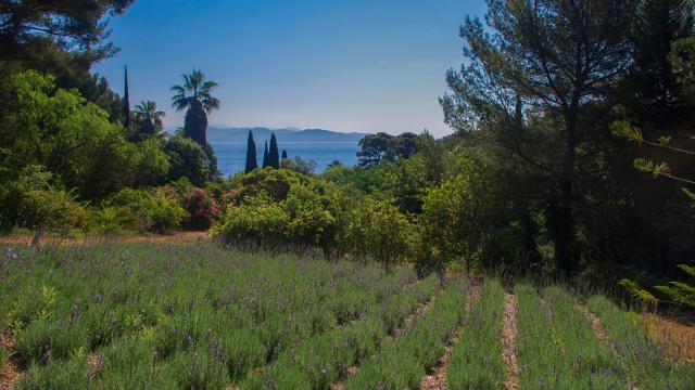 Jardin Mugel Laciotat Provence Amouton