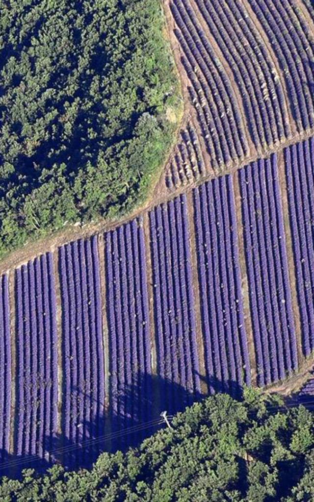 la-provence-vue-du-ciel-francemontgolfieres-1.jpg