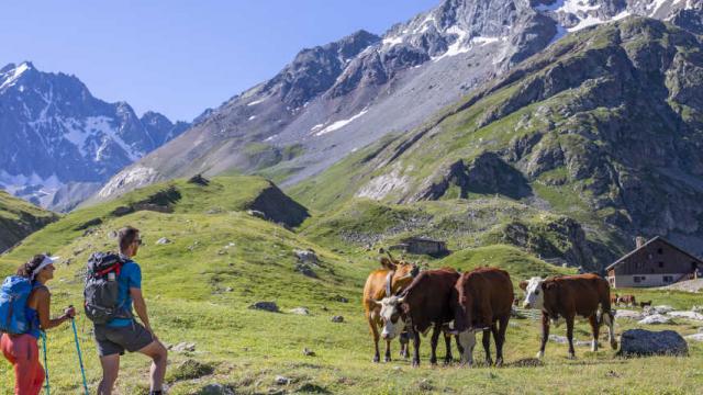 lauzet-collautaret-route-randonneurs-faune-prairie-ecrins-paca-1.jpg