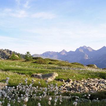 paca rencontre reussie com