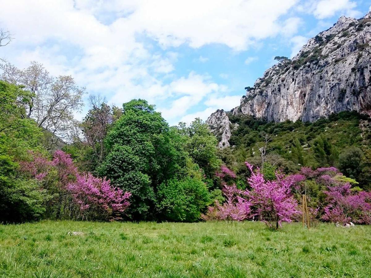 Étang des Aulnes à SaintMartindeCrau ProvenceAlpesCôte d'Azur