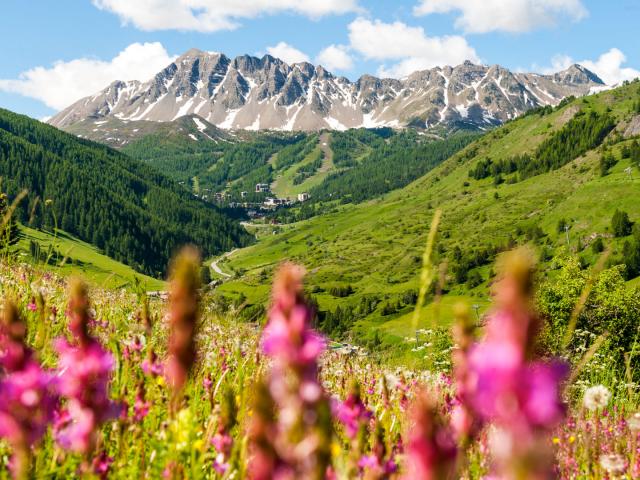 Vallée de Vars